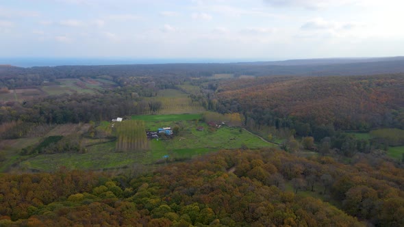 trees in red and orange colors in autumn, great autumn day  alt