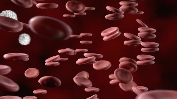 Red blood cells in an artery, flow inside body, medical human health-care.