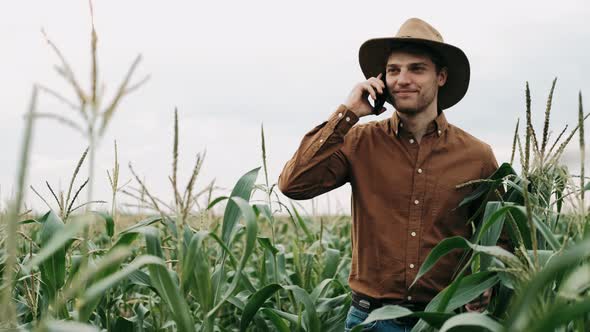 Young Farmer in Hat Walking in Green Corn Field and Talking on Mobile Phone. Agricultury Industry alt
