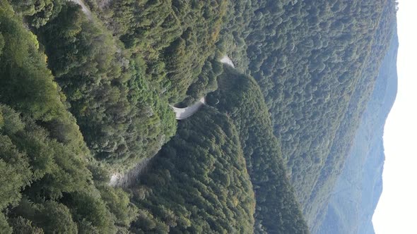 Vertical Video Carpathian Mountains alt