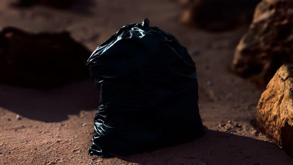 Black Plastic Garbage Bags Full of Trash on the Beach alt