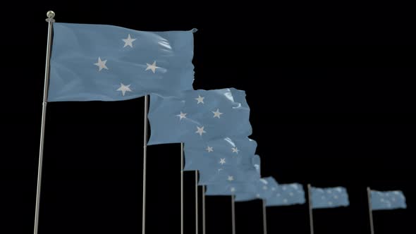 Micronesia Federated States Row Of Flags Animation Include Alpha Channel alt