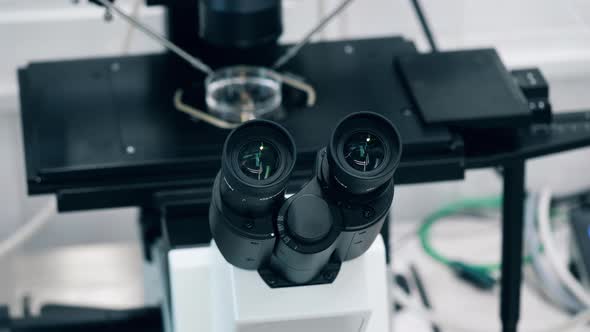 Ocular Lenses of a Microscope During Research alt