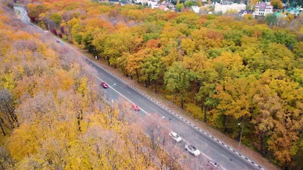 Aerial cars driving road in yellow autumn forest