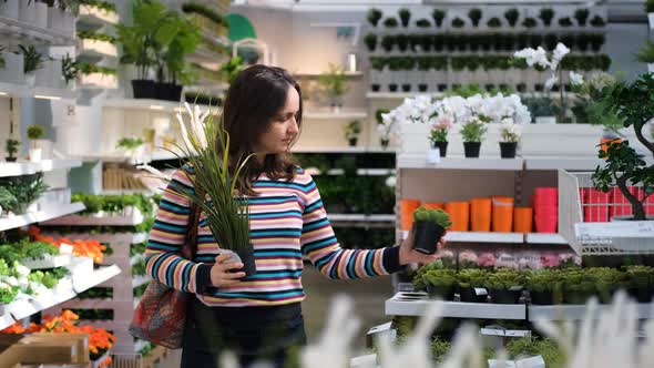 Young Woman Shopping for Plants for Her Home alt