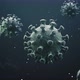 Virus 3D Coronavirus - VideoHive Item for Sale