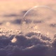 Soap Bubble in the Snow in Winter - VideoHive Item for Sale