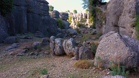 Park with Beautiful Rock Formations and Green Coniferous Trees on a Summer Day alt