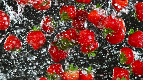 Super Slow Motion Shot of Flying Fresh Strawberries and Water Side Splash on Black at 1000 Fps alt