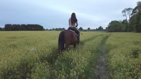 Young woman slowly rides a horse on a yellow rape field