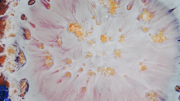 Abstract Grunge Color Ink Paint Spread Explosion Narrowing Space Explosion Background alt