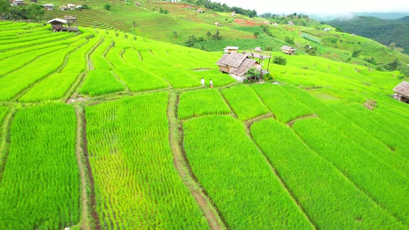 Aerial video of drones flying over rice terraces alt