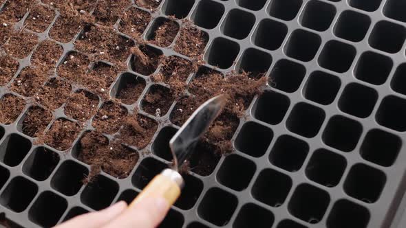 Female Farmer Pours Earth Into Cell Flower Pot
