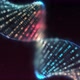Human DNA Helix - VideoHive Item for Sale
