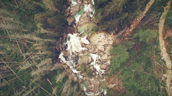 Top Down View of Fast Rapid Stream Pine Forest alt