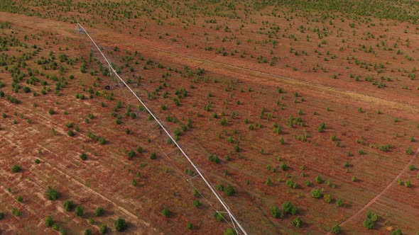 Aerial view of tree farm and an agricultural sprinkler
