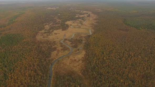 Aerial View  Flying Over River Forest Beautiful Autumn Landscape