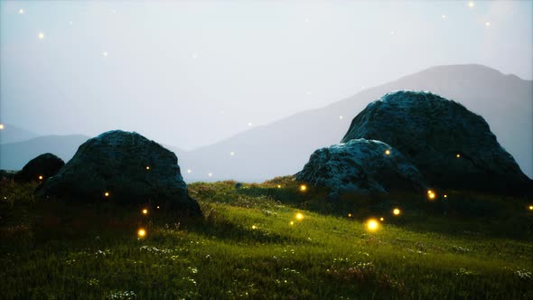 Big Stones in Grass Field alt