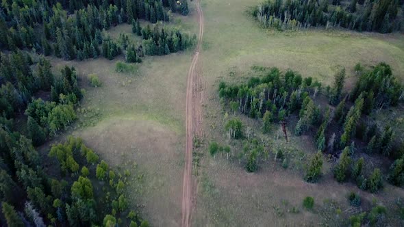 Aerial Drone View Following Forest Trail To Campers Out In a Colorado National Forest  alt