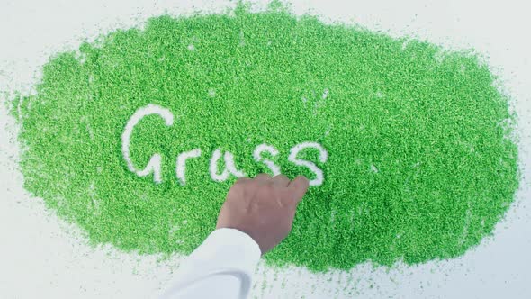 Indian Hand Writes On Green Grass