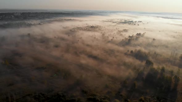 Epic aerial view of sunrise fog covering field with trees.