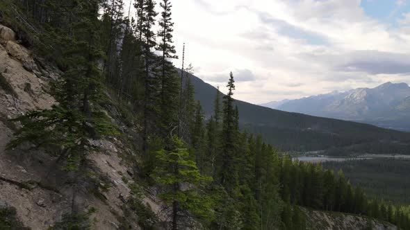 Fast sideways flight over larch forests of Kananaskis Country revealing beautiful rocky mountains an alt