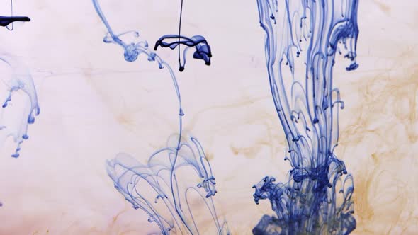 Splashes of Coloured Paints in the Water