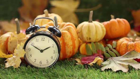 Halloween seasonal pumpkin and alarm clock on green grass
