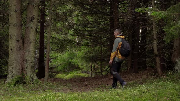 A Man with a Backpack Travels Through a Beautiful Forest alt
