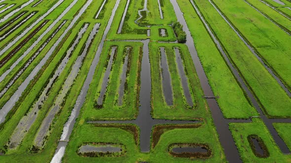 Green polder landscape, Reeuwijk, Zuid-Holland, Netherlands