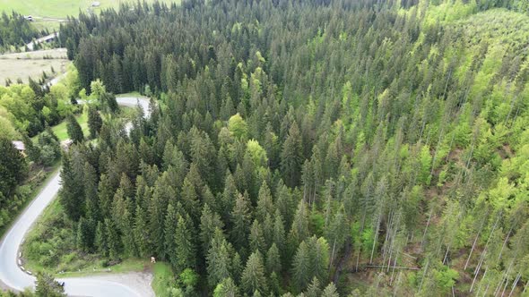 Ukraine, Carpathians: Forest Landscape, Aerial View alt