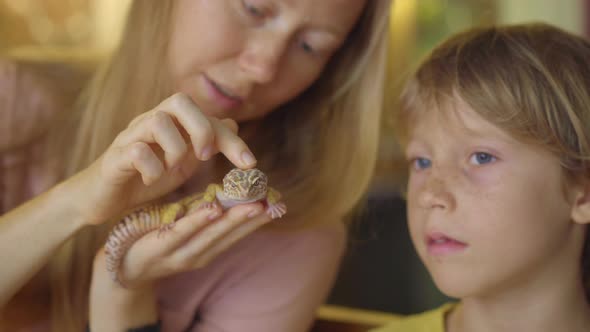 A Woman and Her Little Son Visit a Cafe with Exotic Animals alt