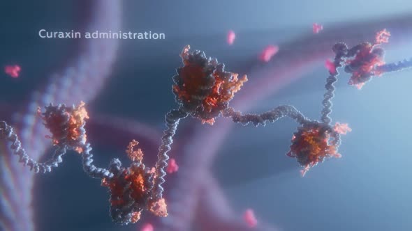 destructionofdnacells1.mov alt