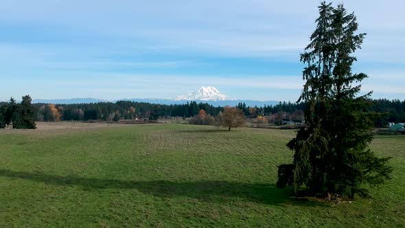 A beautiful crisp fall day in Washington State.  Ariel footage of green pasture with the snow-capped alt