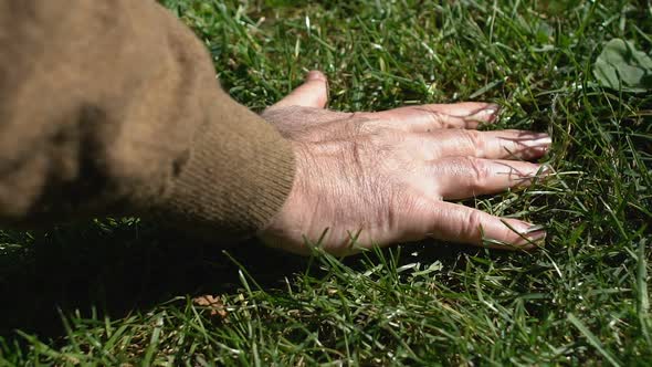 Male Hand Stroking Field Grass, Countryside Rest, Earth Energy, Agriculture