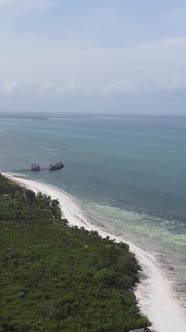 Zanzibar Tanzania  Ocean Shore Covered with Green Thickets Vertical Video alt