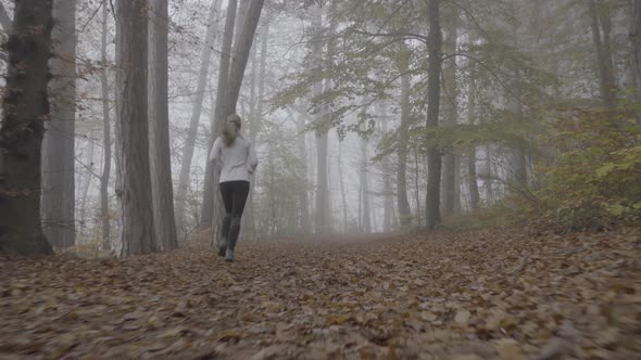 Sport Video Following Woman Jogging in Autumn Forest