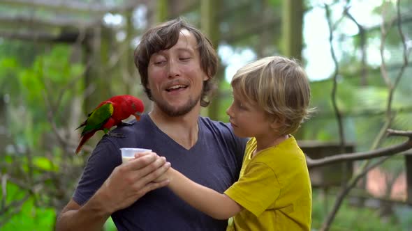 Super Slowmotion Shot of a Father and Son in a Bird Park Feed a Red Parrot Sitting on Father's alt