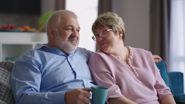 Cheerful Mature Man and Woman are Sitting on Couch in Apartment and Communicating Cheerfully alt