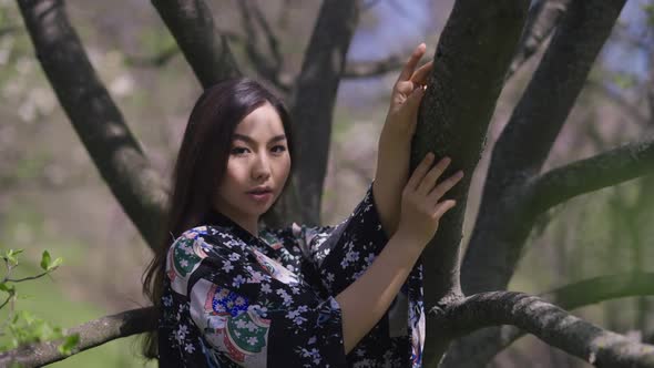 Young Asian Woman Touching Tree Branch in Sakura Garden Smiling Dancing Looking at Camera alt