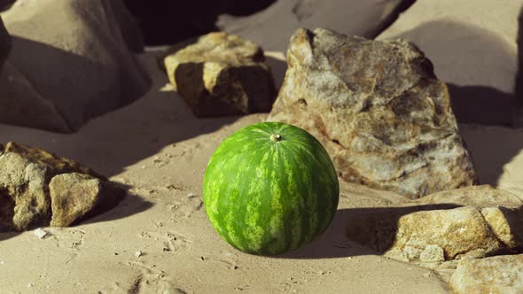 Fresh Watermelon on a Beautiful Sand Beach alt