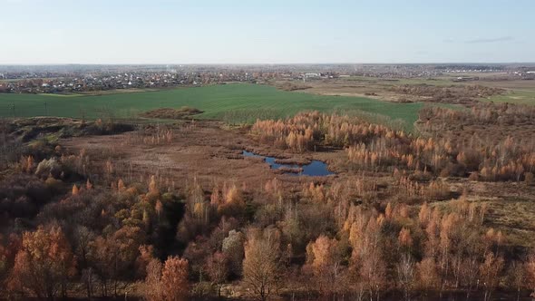 Autumn Landscape Aerial View 06 alt
