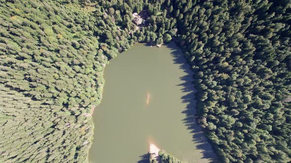 Aerial View of Synevyr Lake in Carpathians Ukraine Europe alt