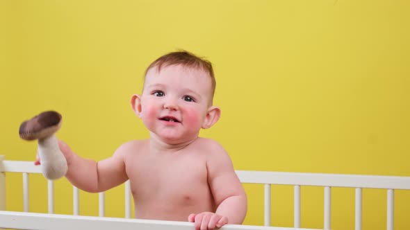White cumulus clouds in the blue sky, timelapse. Bright beautiful sky, copy space background alt