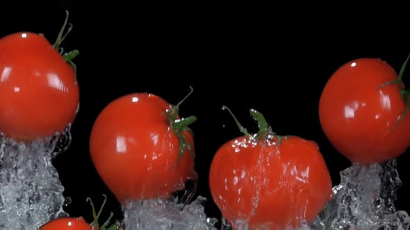 Small Tasty Cherry Tomatoes are Bouncing Up with the Splashes of Water ...