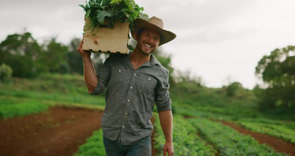 Farmer walking on his farm alt