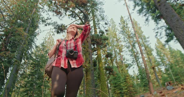 Slow Motion Woman Walking By the Green Forest. Low Angle of Smiling Female alt