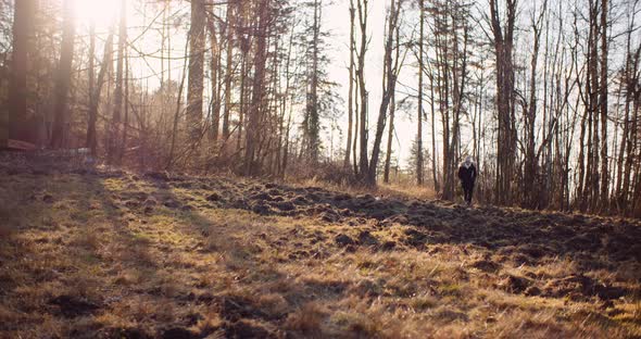Leaisure Activities, Sport - Tourist Walking Along Mountain Trail in Mountains alt