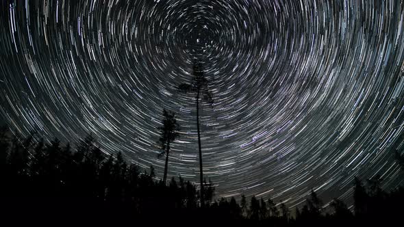 Star Trails in the Night Sky alt