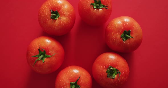 Video of fresh red tomatoes in circle on red background alt